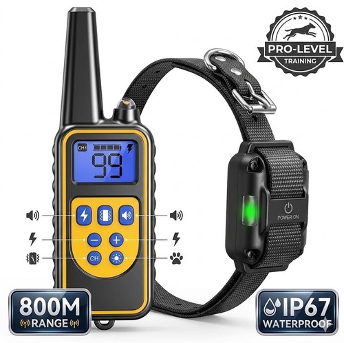 Collier dressage chien - chien, 800m