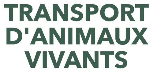 Autocollant transport - autocollant,