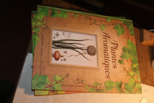 Livre plantes aromatiques - plantes,