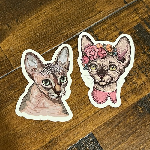 Set sphynx cat sticker - sphynx,