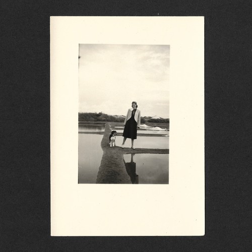 Femme sur pied - chien, marais