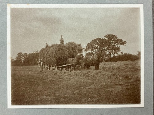 Photo vintage foins uk - photo,