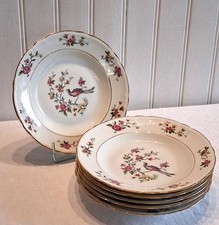 6 assiettes creuses en