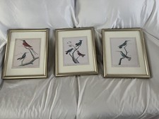 Martinet Bird Print Collection You Get All 3 Read Description See Photos!!