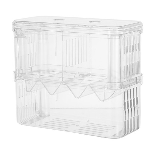 Boîte D'élevage D'aquarium