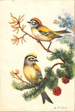 CPA FANTAISIE / PETIT OISEAUX