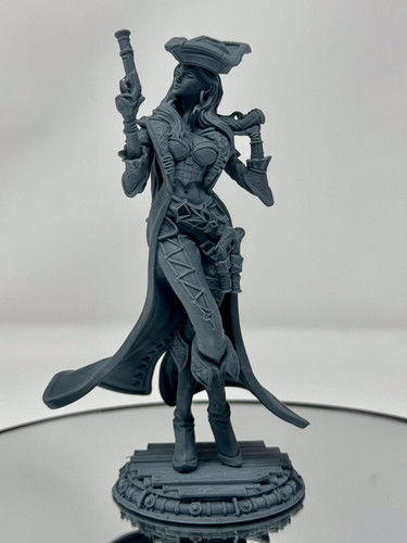 Anne the pirate captain - the,