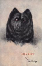 Postcard fantasy / dog / chow chow
