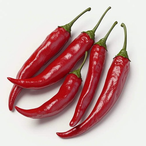 Graines piment kashmiri - 35, de