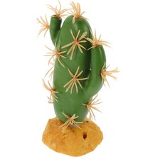 Décorations Pour Terrarium