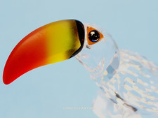 SWAROVSKI CRYSTAL TOUCAN