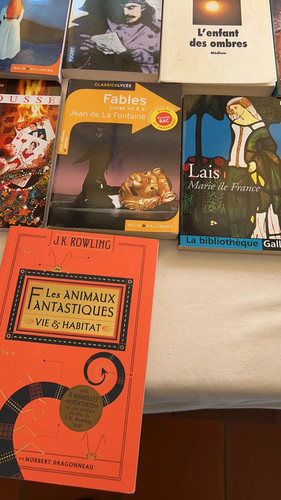 Lot livres poche série de - lot,