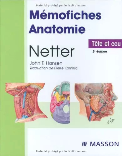 Netter tête cou - tête, cou,