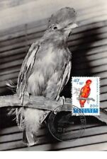 1962 .carte maximum .belgique .102683 .coq de roche .zoo .cachet antwerpen .