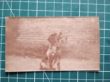 az242 photo circa 1930 chien