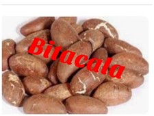 NOIX DE PETIT COLA  FRAICHE