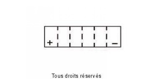 Batterie lithium skyrich - batterie, pour