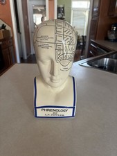 Phrenology Head Medical Bust