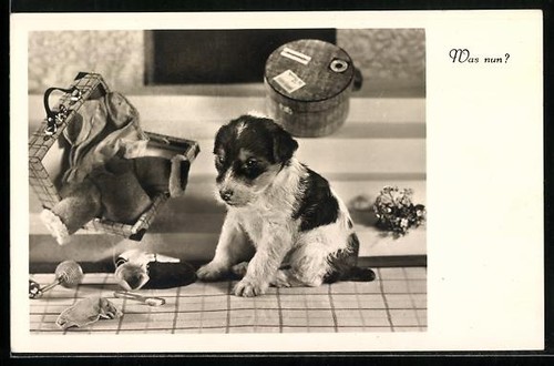 Carte postale photo chiot - , et