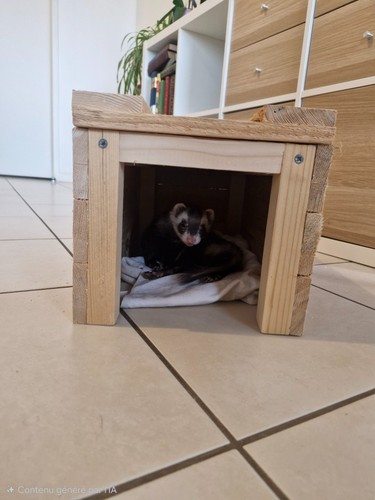 Cabane pour furet tortu - pour, furet/tortu.