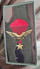 écusson militaire 1er RCP