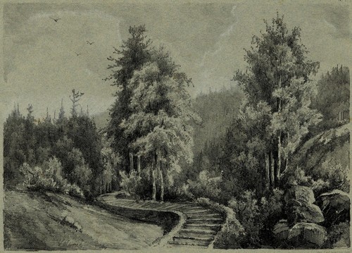 Alsace vosges serva chemin - vosges,