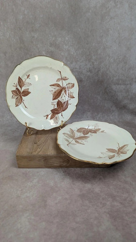 Assiettes anciennes gien - assiettes,