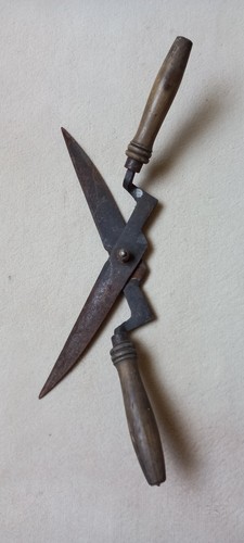 Cisaille ancienne coupe buis - cisaille, ancienne,