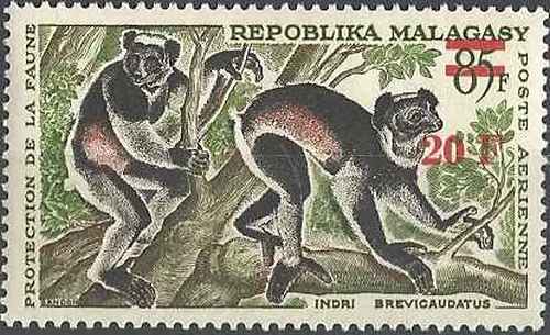 Timbre animaux mammifères - animaux,