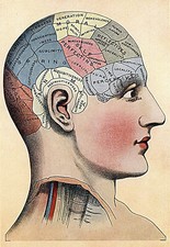 1914 Medical Print Phrenology