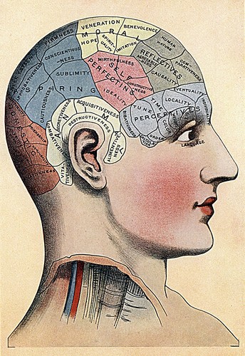 1914 medical print phrenology - print,