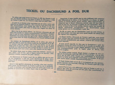 Chasse, Teckel Dachshund à poil dur, Planche Couleur, Malher, Castellan, 1938
