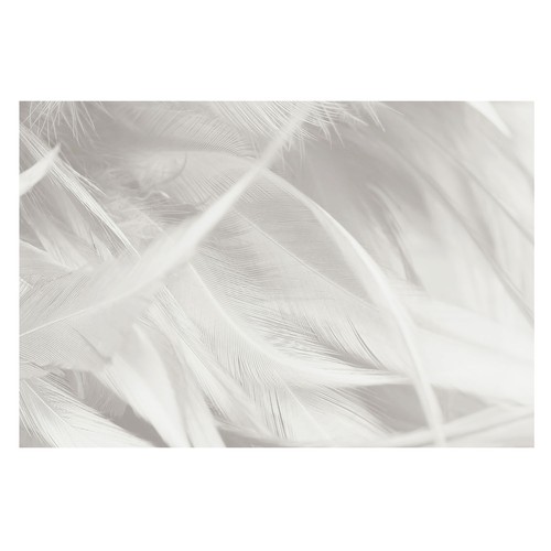 Papier peint intissé facile - papier,