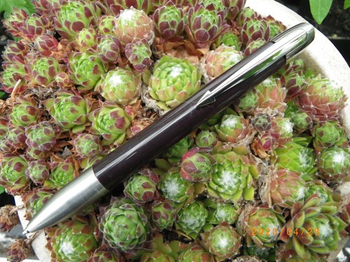 Superbe stylo bille - superbe,