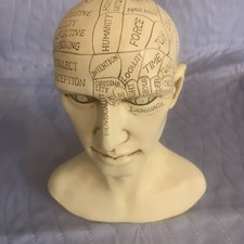 Phrenology Human Head Skull