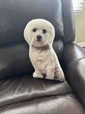 Bichon Frise dog Pillow