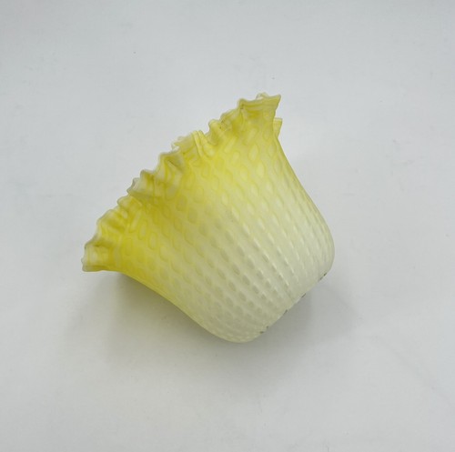 Tulipe opaline jaune pour - en,