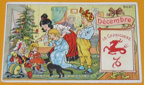 Chromo 1890 1905 - chromo, chicoree