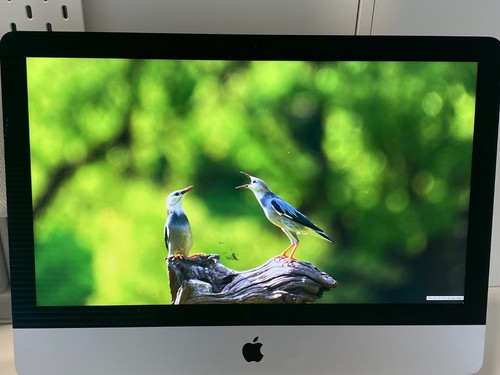 écran lcd complet - ,