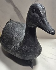 Appelant Oie Noire Flottante