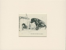LABRADOR RETRIEVER AND FOX  TERRIER 1947 MOUNTED DOG ART PRINT BY VERNON STOKES