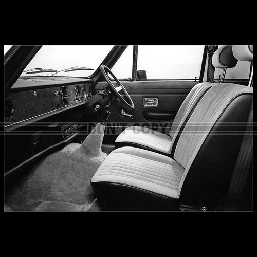 Photo 018695 triumph - photo,
