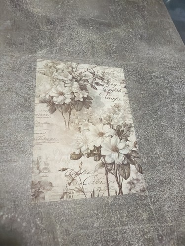 Feuille papier scrapbooking - feuille,