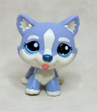LITTLEST PET SHOP PETSHOP LPS #1684 HASBRO DOG PUPPY DOG HUSKY BLUE EYES