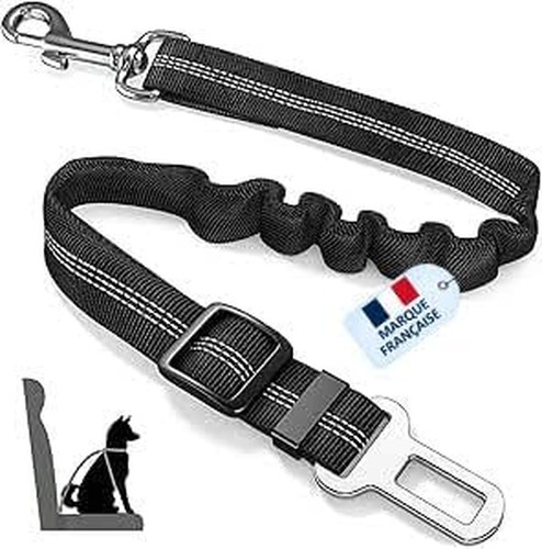 Ceinture chien voiture - chien,