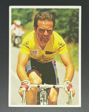 Bernard HINAULT #7 - POULAIN