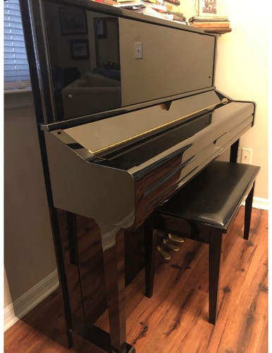 Black ebony professional - black,