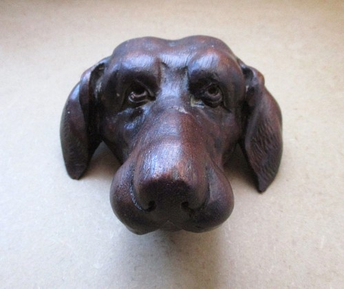 Ancienne belle tête chien - belle, de