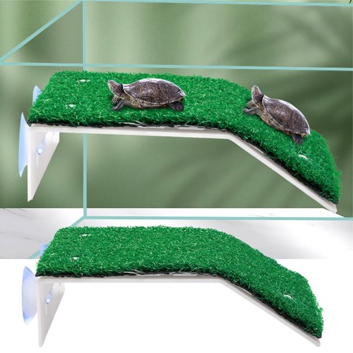 Plateforme tortue turtle - plateforme,
