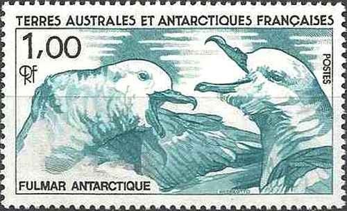 Timbre oiseaux taaf 115 - 115,